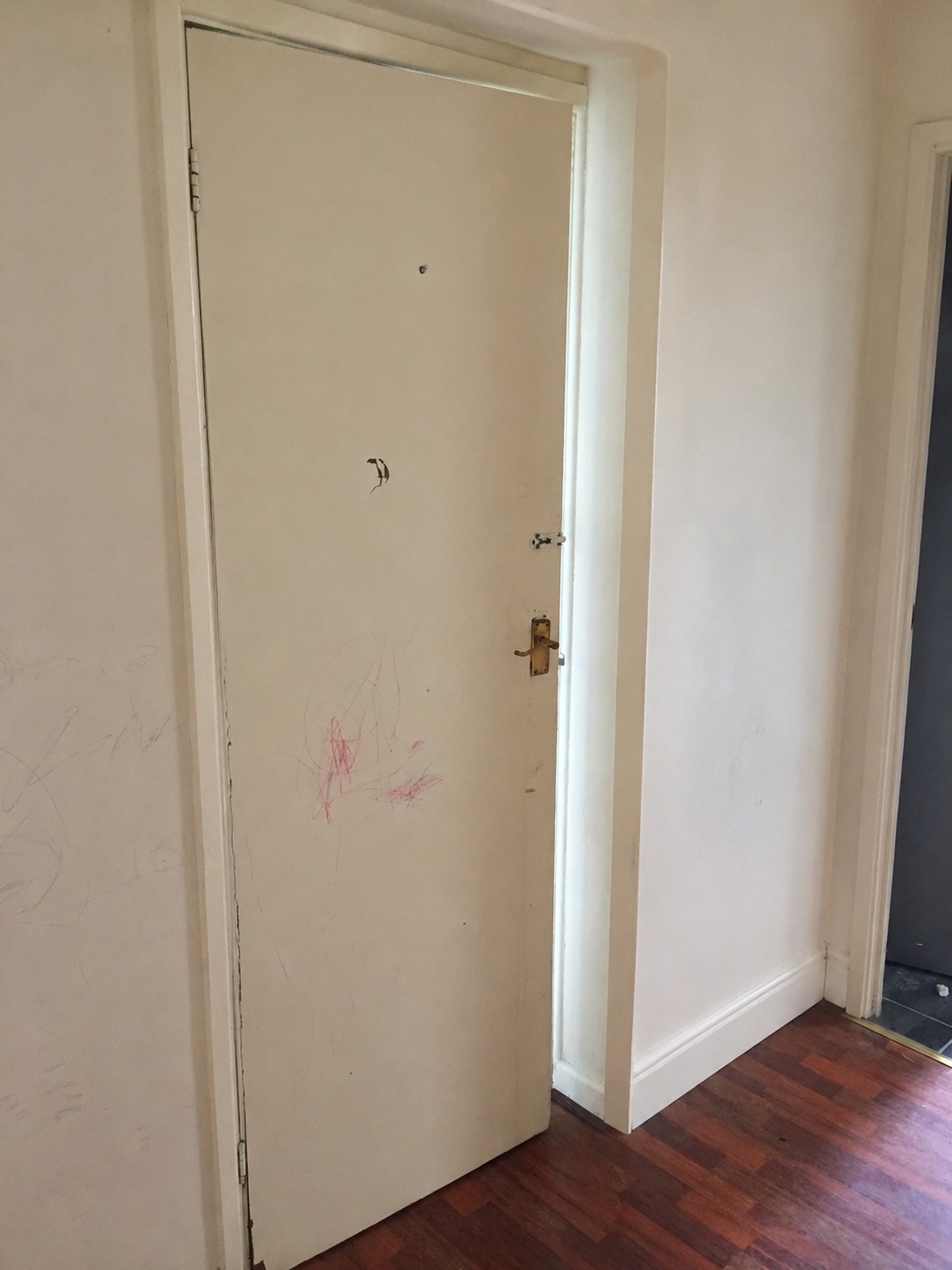 Door Replacement Before